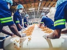 Food Processing & FMCG